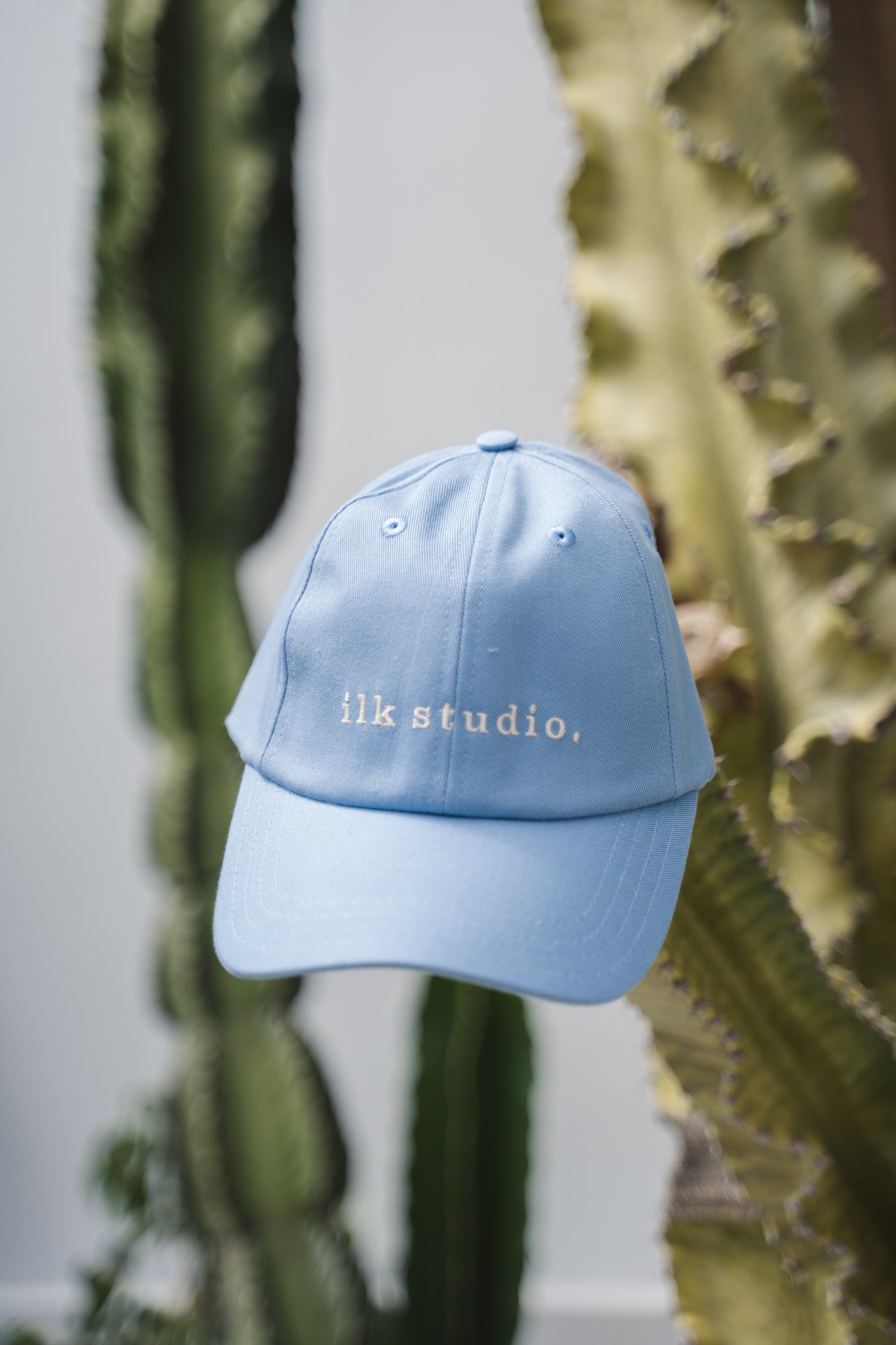 Light blue cap with 'ilk studio.' text against a cactus background