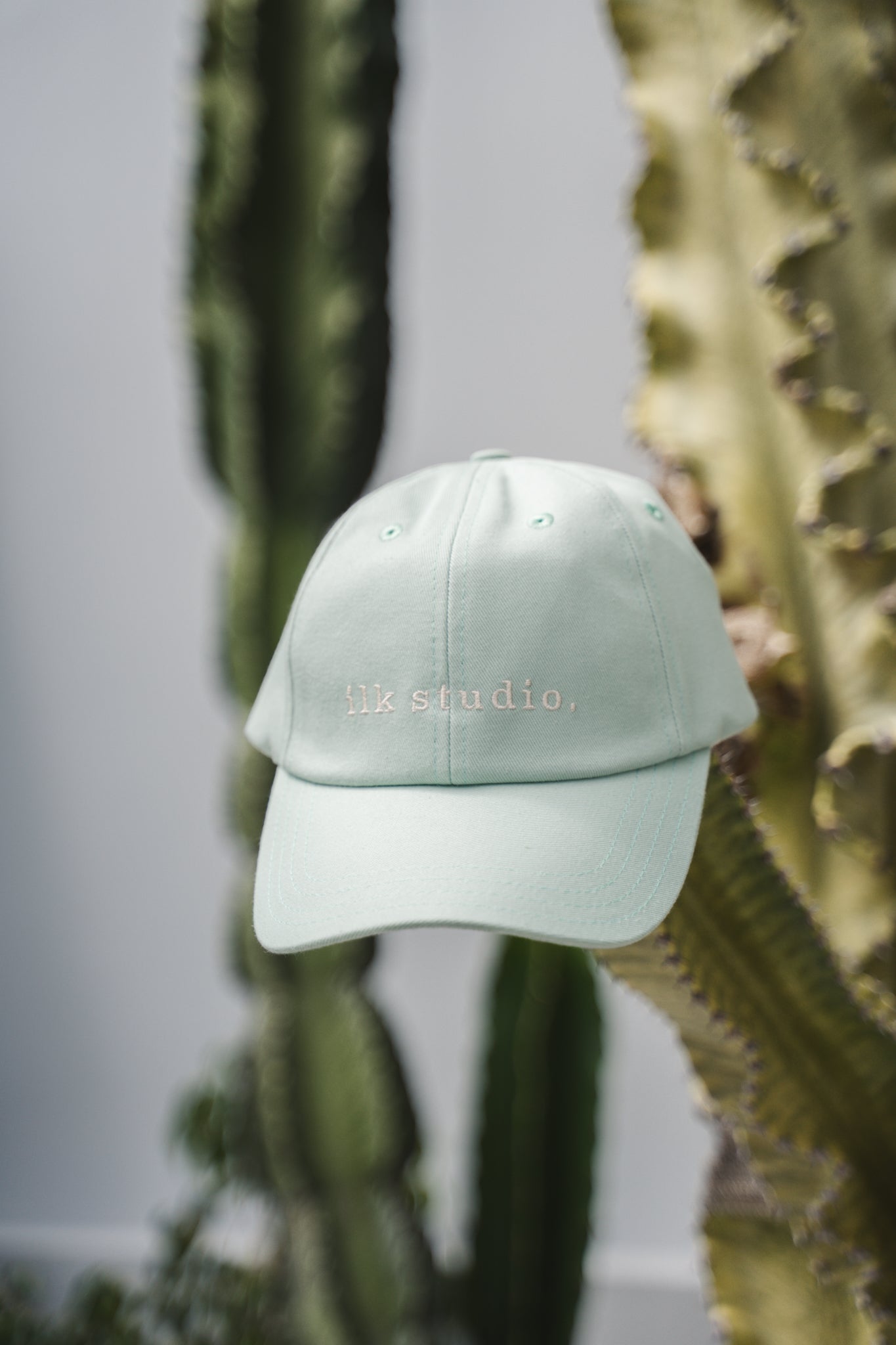 Light green cap with 'La Studio' embroidery on a cactus plant